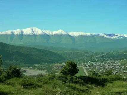 Чесет