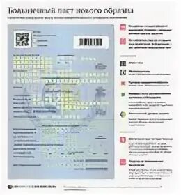 Коды больничных листов 2024