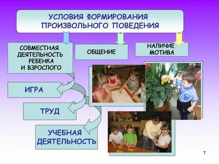Развитие произвольного поведения