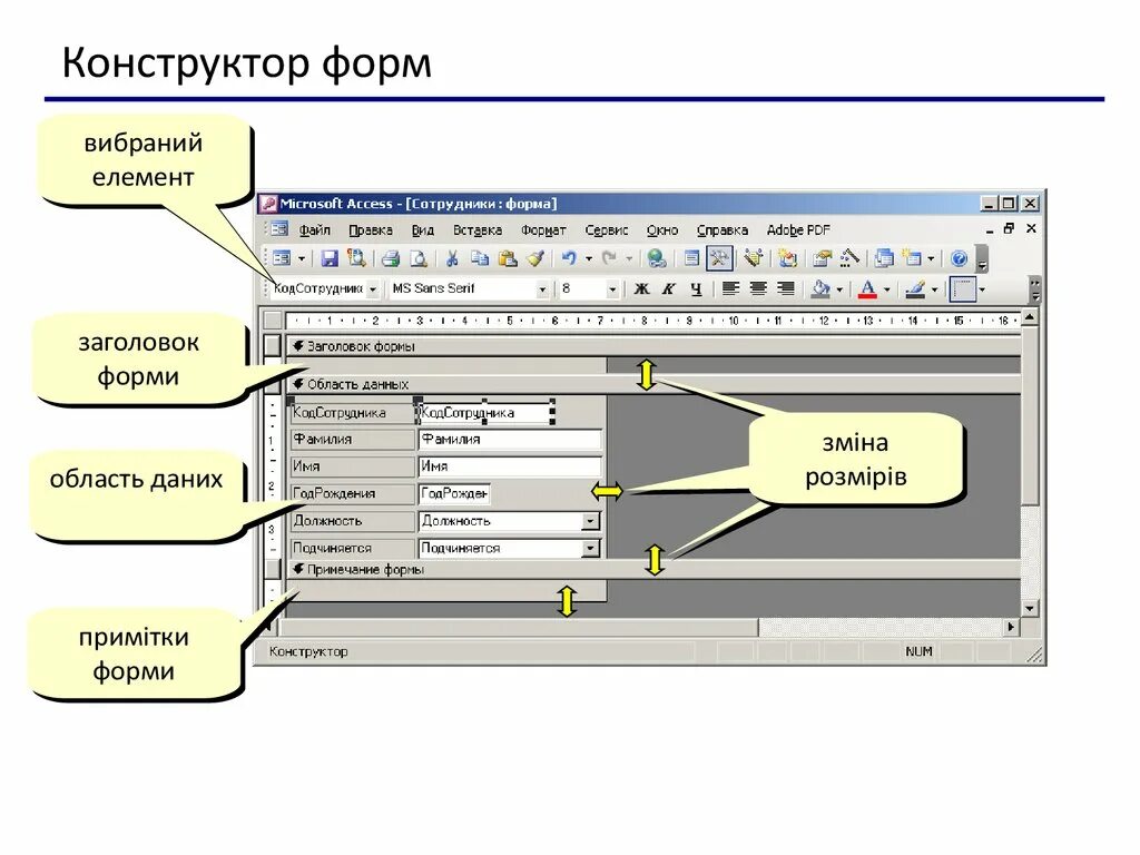 Конструктор форм в access. Формы элементы формы access. Элементы окна конструктор форм access. Заголовок формы access.