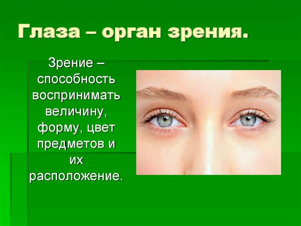 Действие глазами. Глаза орган зрения. Органы чувств глаза. Глаз-орган зрения презентация. Органы чувств орган зрения.