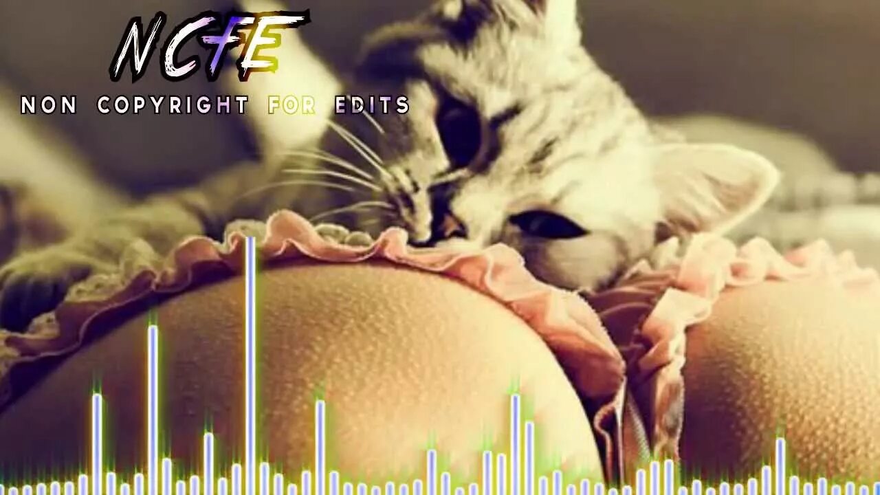 Девушка с котом на руках и голой киской между ног фото