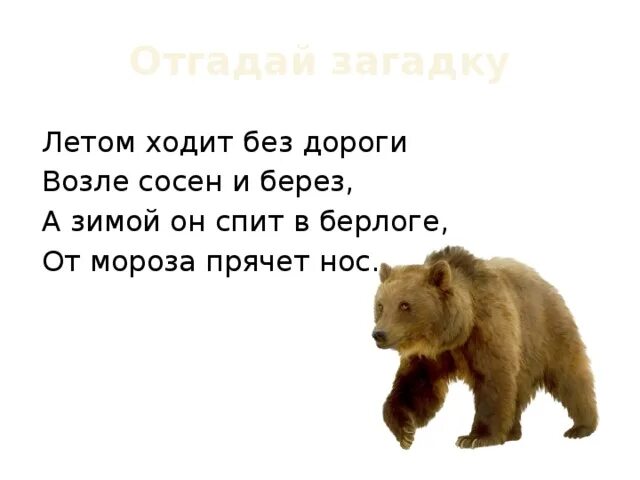 Летом ходит и зимой