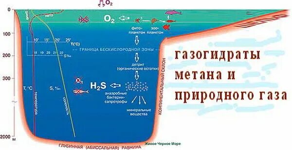 Максимальная глубина черного моря. Чёрное море глубина рельеф дна. Схема дна черного моря. Структура дна черного моря. Глубина черного средняя и максимальная