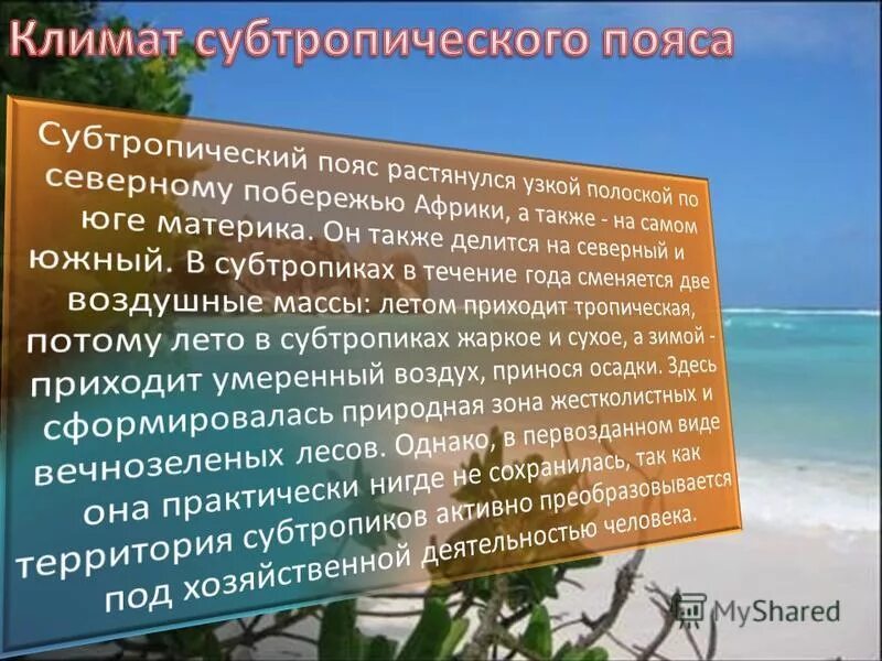 Зона субтропиков климат. Субтропическая зона климатические условия. Субтропический климатический пояс. Особенности субтропиков.