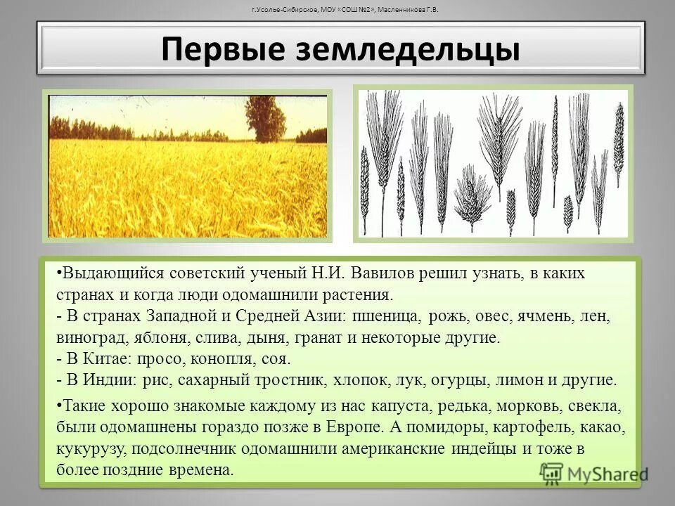 Первые одомашненные растения. Животные каких групп одомашнены человеком. Зачем одомашнивают растения. Одомашненные животные. Какие растения были одомашнены раньше всего.