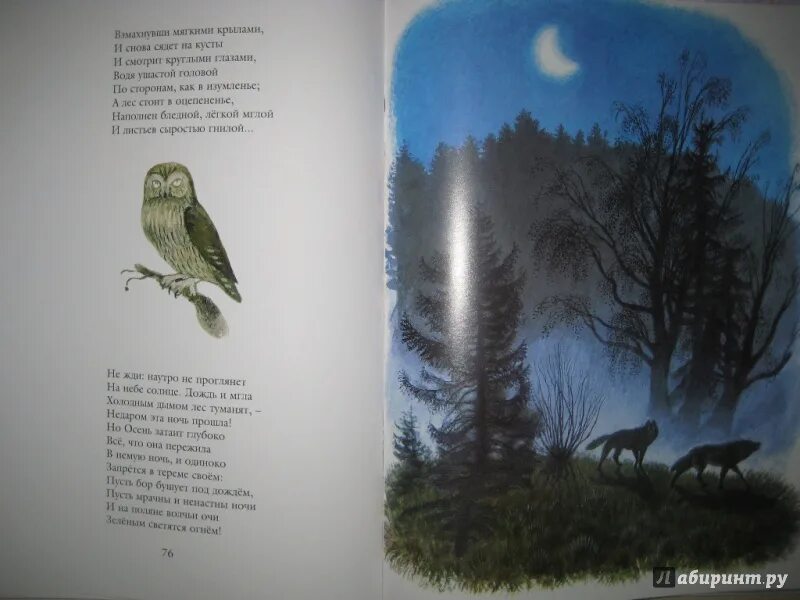 Блок тютчев бунин. Майков тютчев бунин. блок тютчев бунин продолжи ряд. тютчев листопад количество страниц.