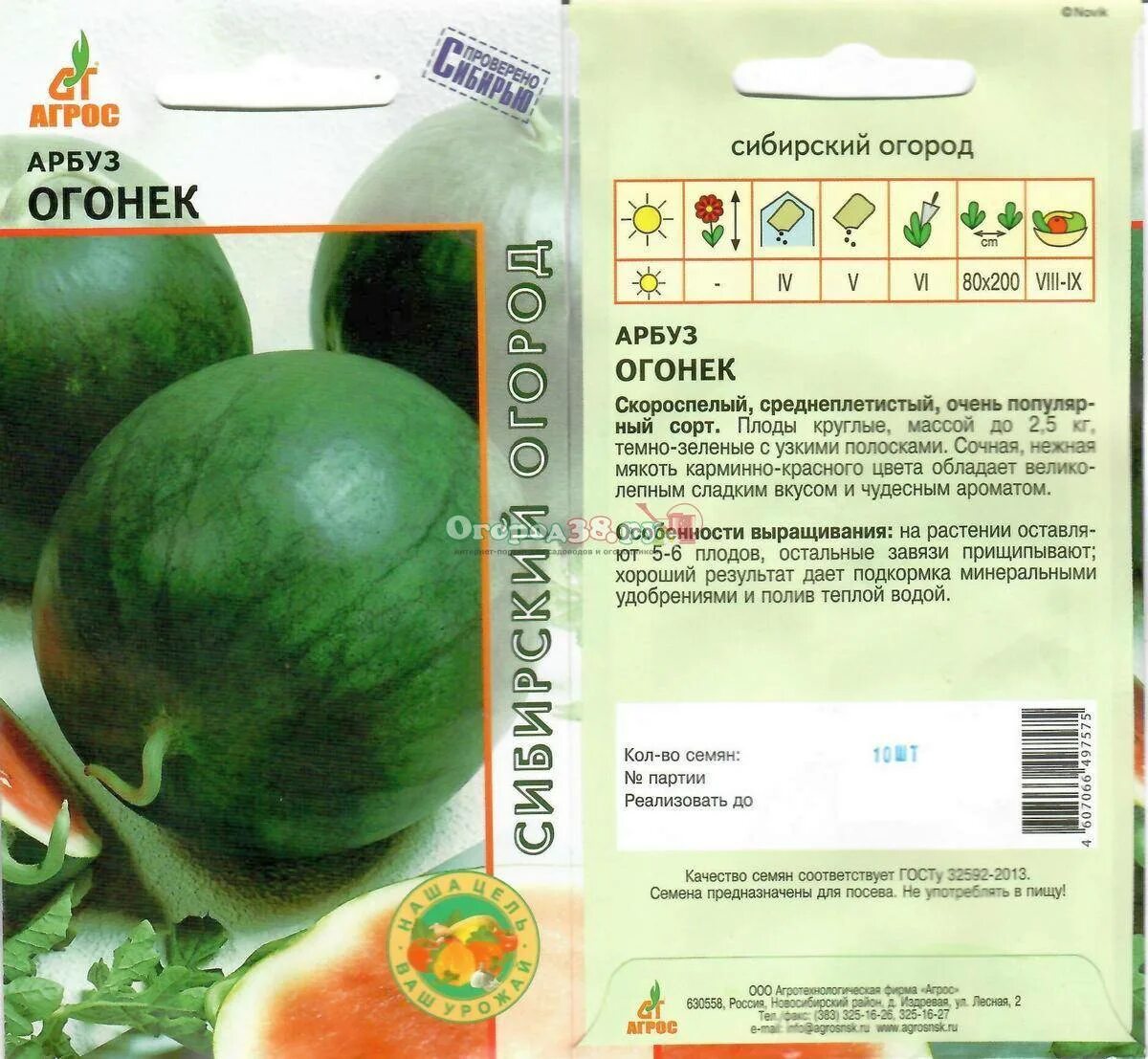 Рассада арбуза огонек. Сорт арбузов огонек. Арбуз огонек Сибирский сад. Сорт арбуза огонек описание. Арбуз огонек описание.