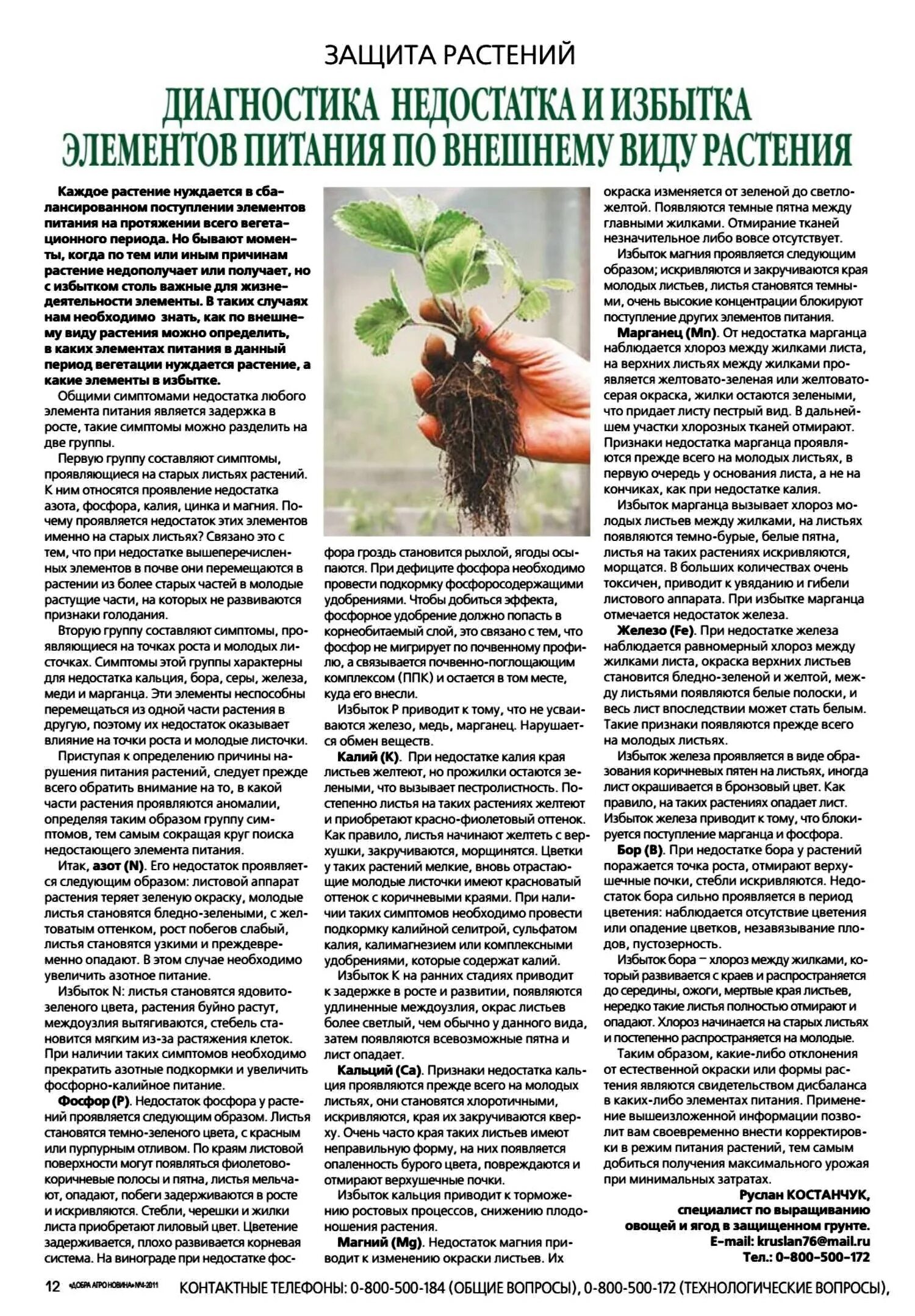 Значение калия для растений. Недостаток навоза. Органические удобрения презентация. Недостаток навоза. Избыток и недостаток азота в растениях.