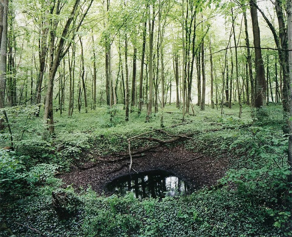 воронка в лесу. воронки в лесу. воронки в лесу. карстовая воронка в тульской области. воронка в лесу.