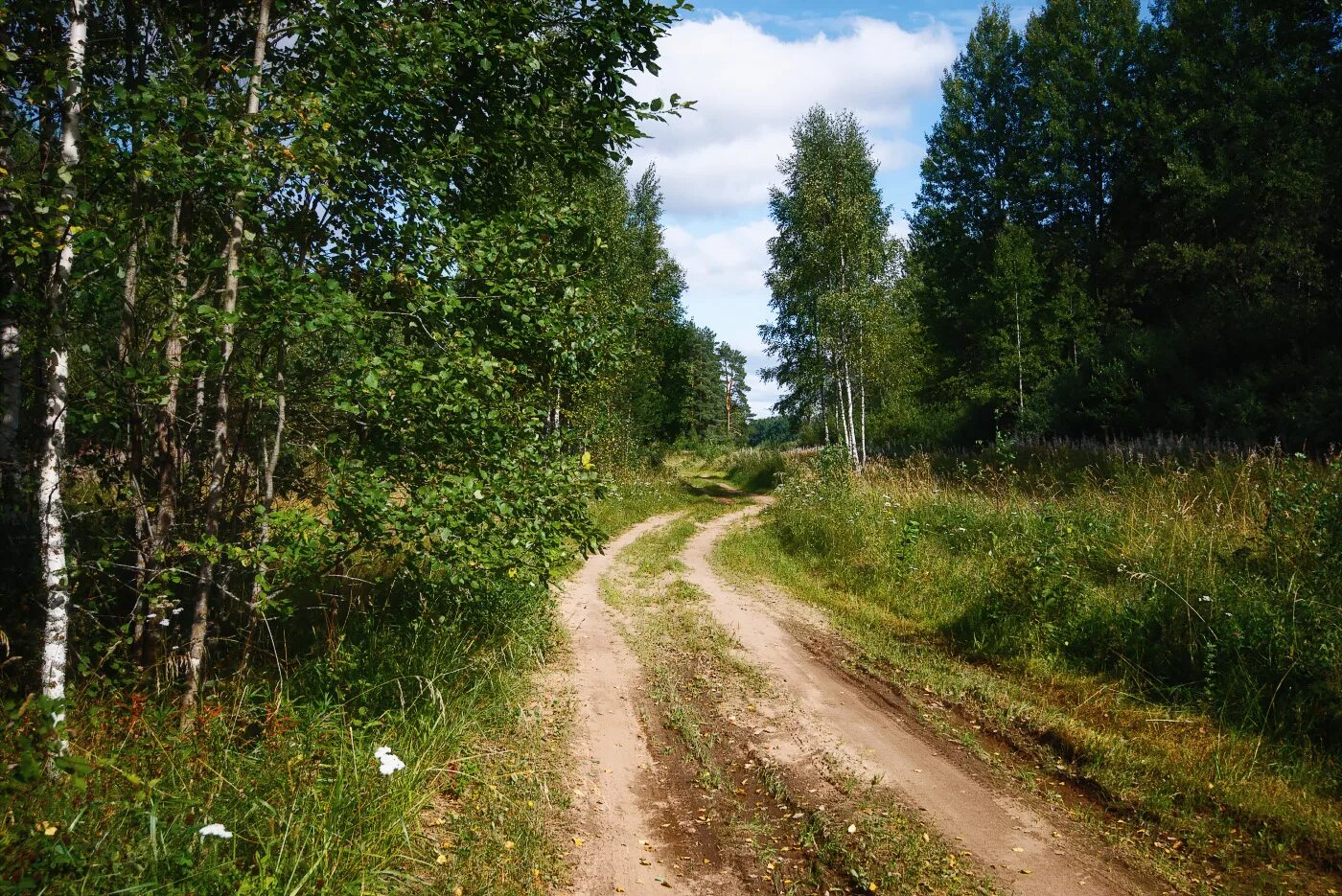 ноты. текст песни туманы туманы. песня там за туманами текст. там за туманами текст. текст песни там за туманами любэ.