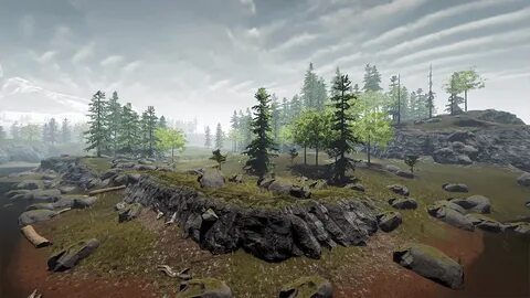 Forest but