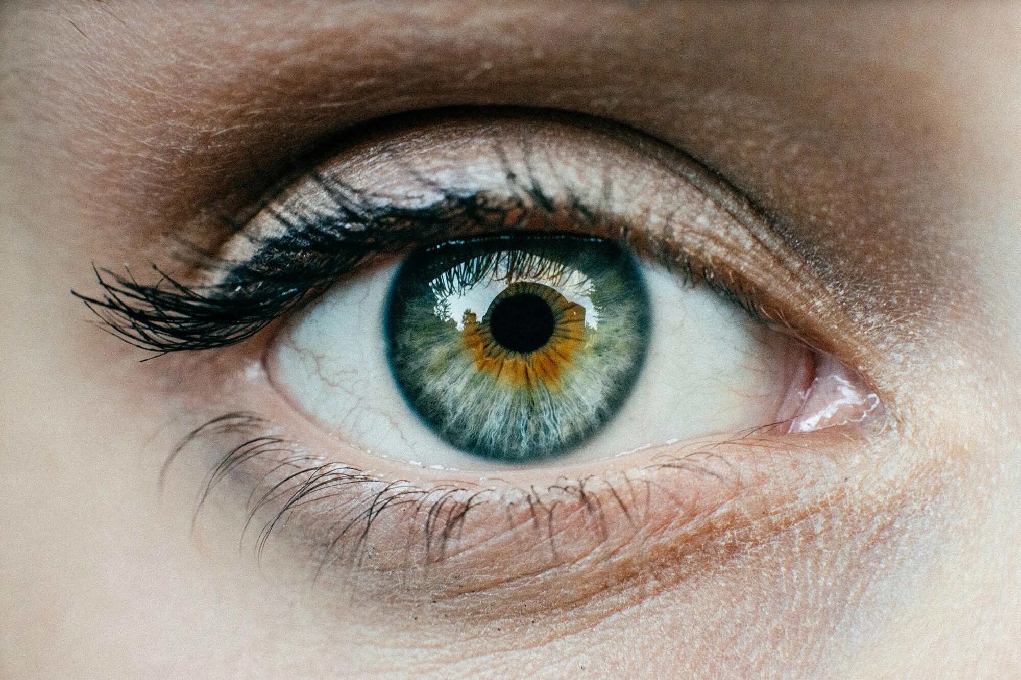 Цвет глаз. Центральная гетерохромия хамелеон. Цвета глазгл. Natural looking color lenses. Красивые глаза.