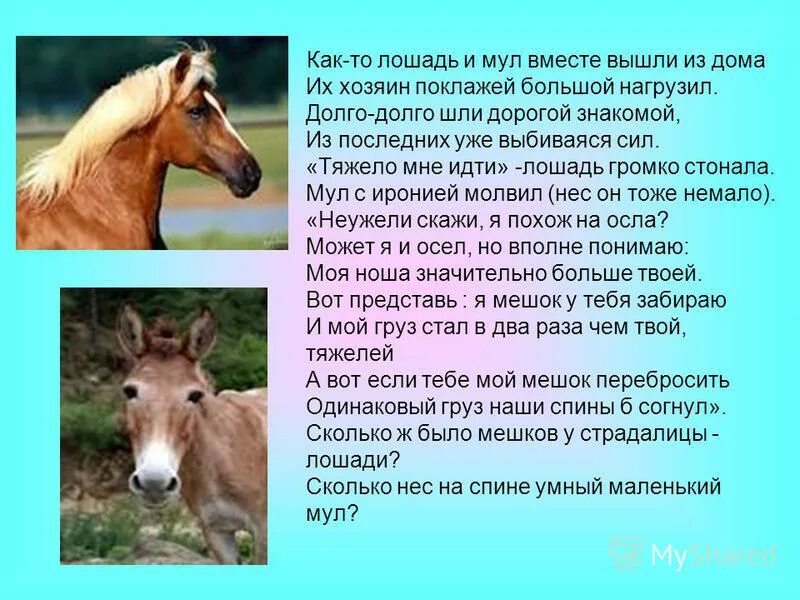 Звонки на коня. Звонки на коня