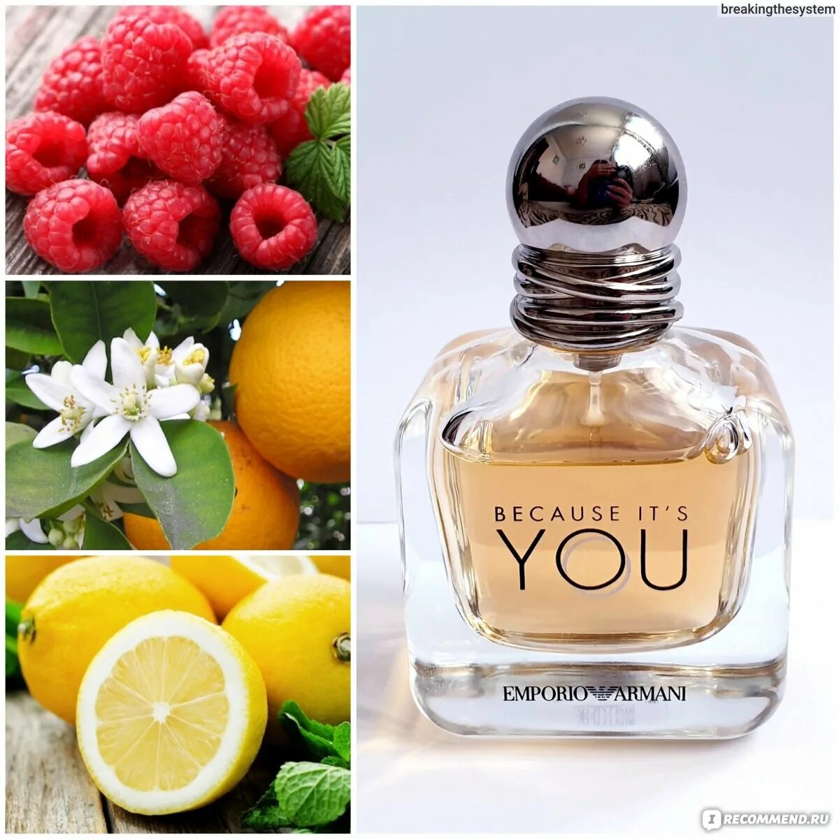 Giorgio armani because. Парфюм Армани ю женский. Духи because it's you Армани. Emporio Armani because it’s you Giorgio Armani. Because of you духи.