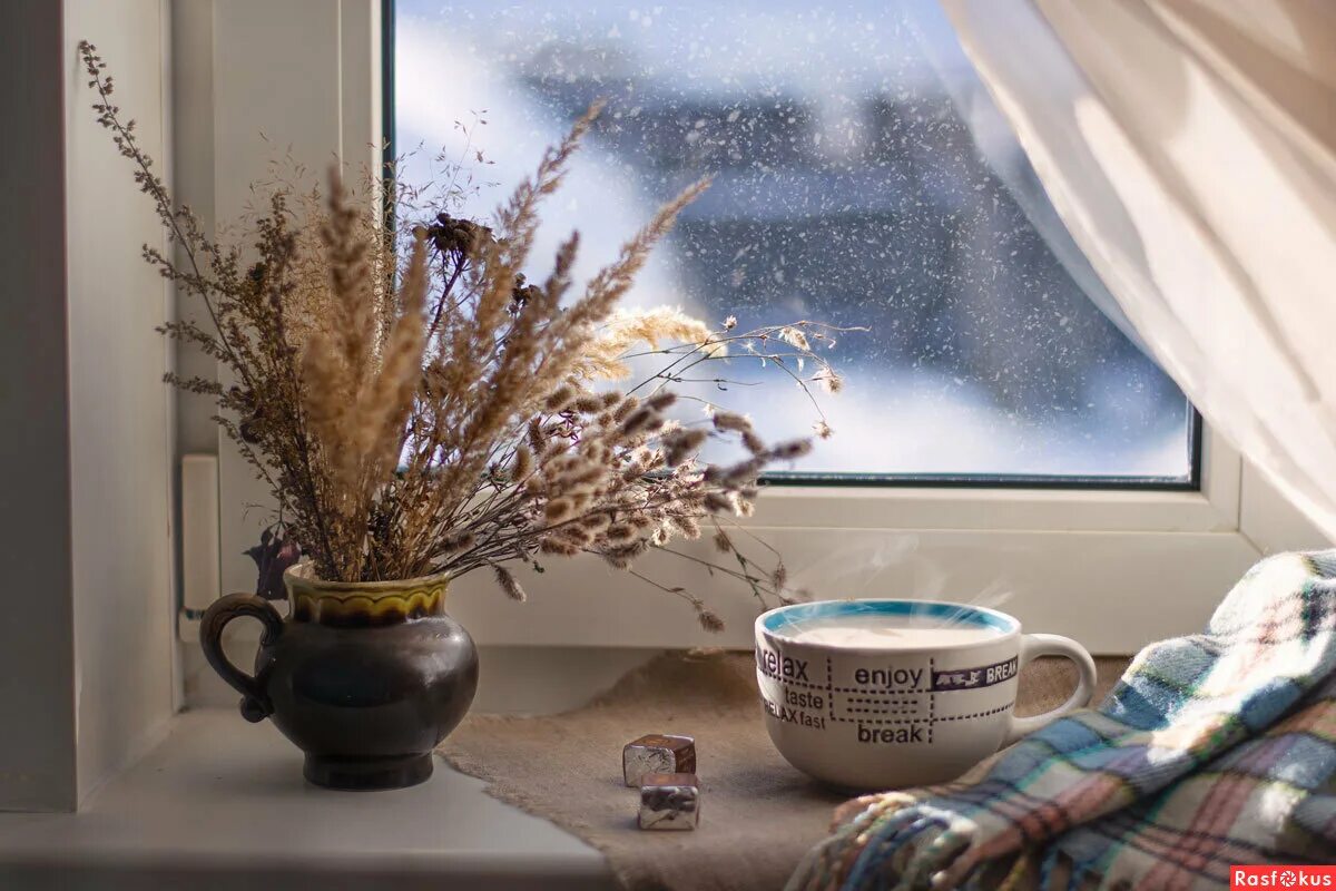 окно зима. весенний кот. зима за окном. окно с зимним пейзажем. цветы на заснеженном окне.