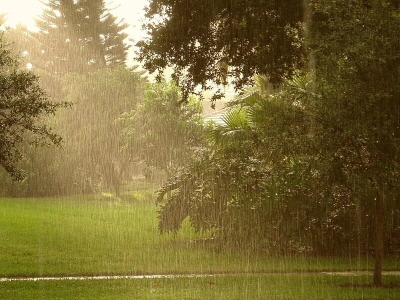 Дождливое утро пейзаж вид из окна. Кантри дождь. Rainy Scene. Sunshower Raindrops. Sun shower