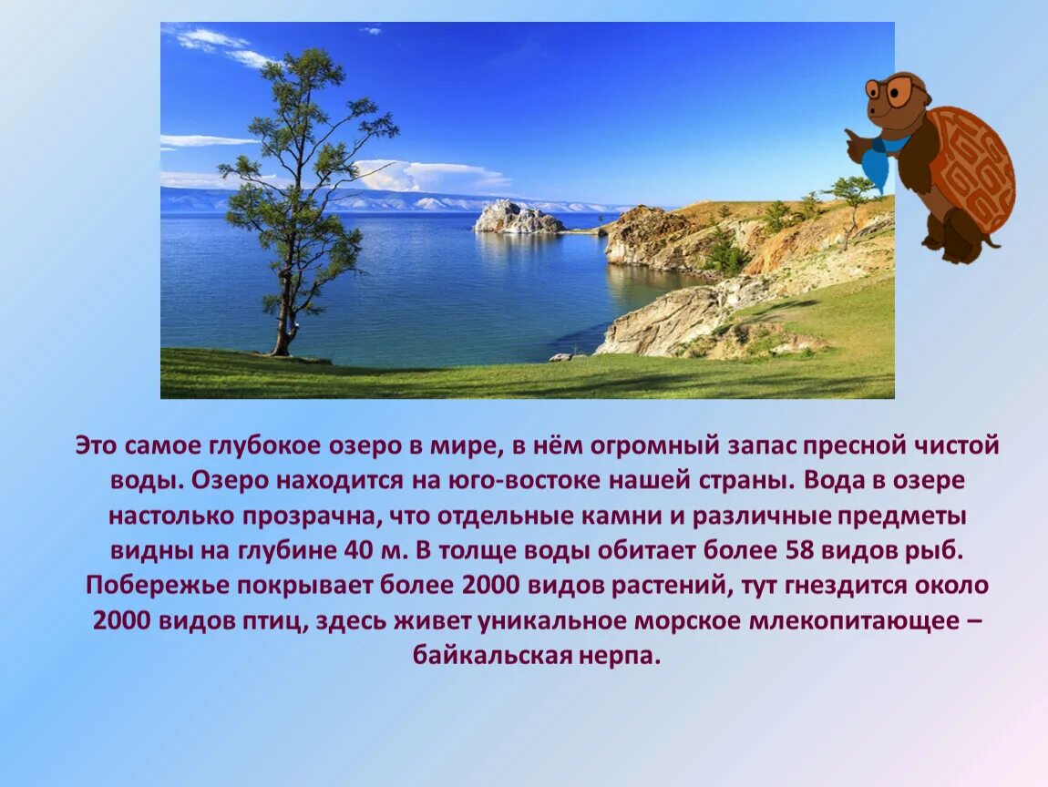 Водные богатства 2 класс. Окружающий мир водные богатства. Водные богатства презентация. Сообщение на тему водные богатства. Что составляет водные богатства