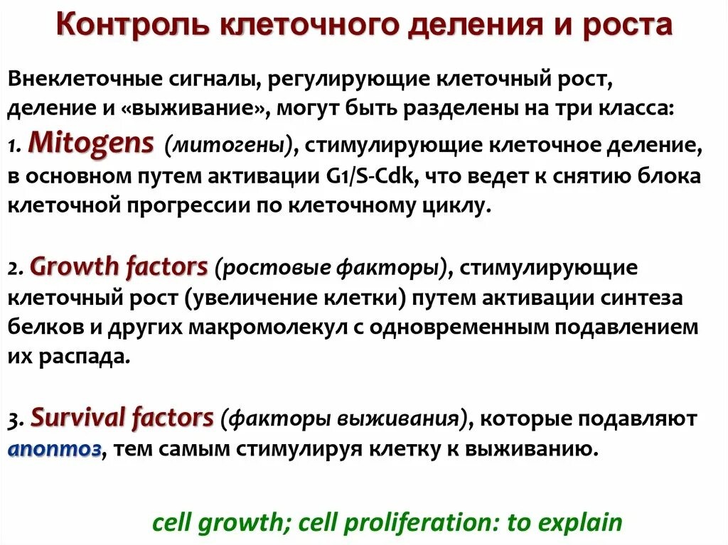 Контроль процессов деления клетки. Регуляция клеточного деления. Контроль роста клетки. Контроль процессов деления клетки какой. Деление клеток стимулируют