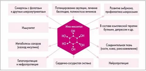 Инозитол функции