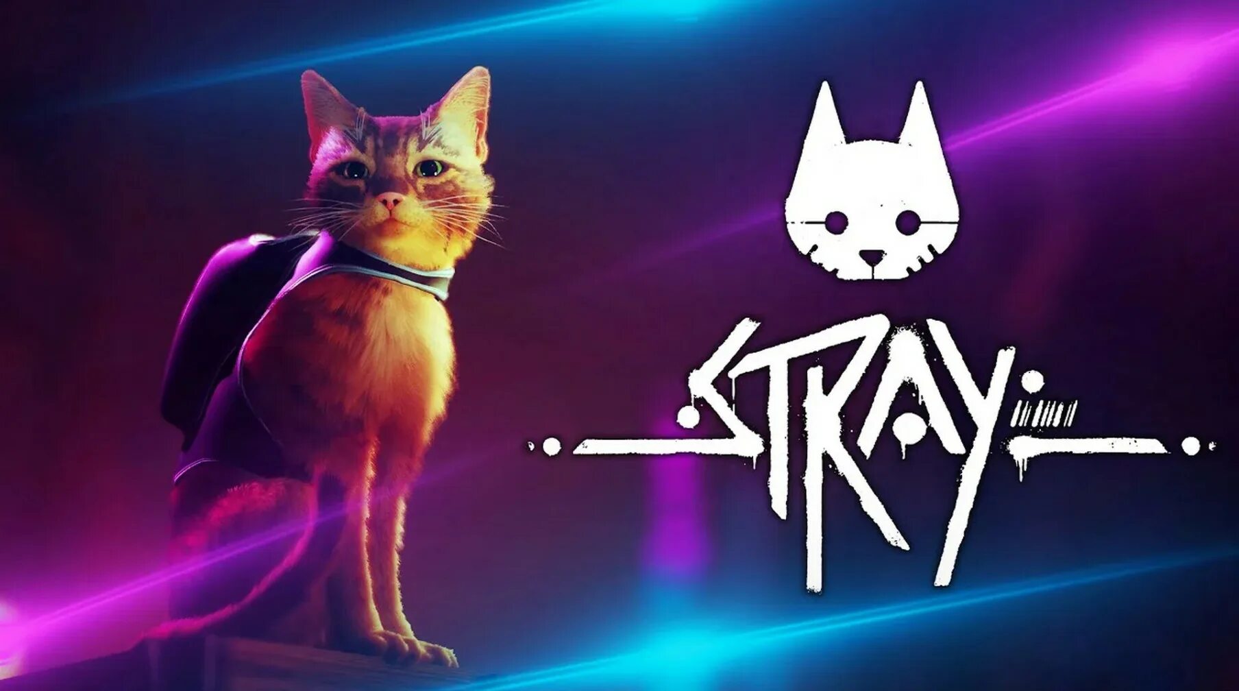 Кот гейм. Стрэй игра. stray игра 2025. стрей игра 2025. stray игра про кота.