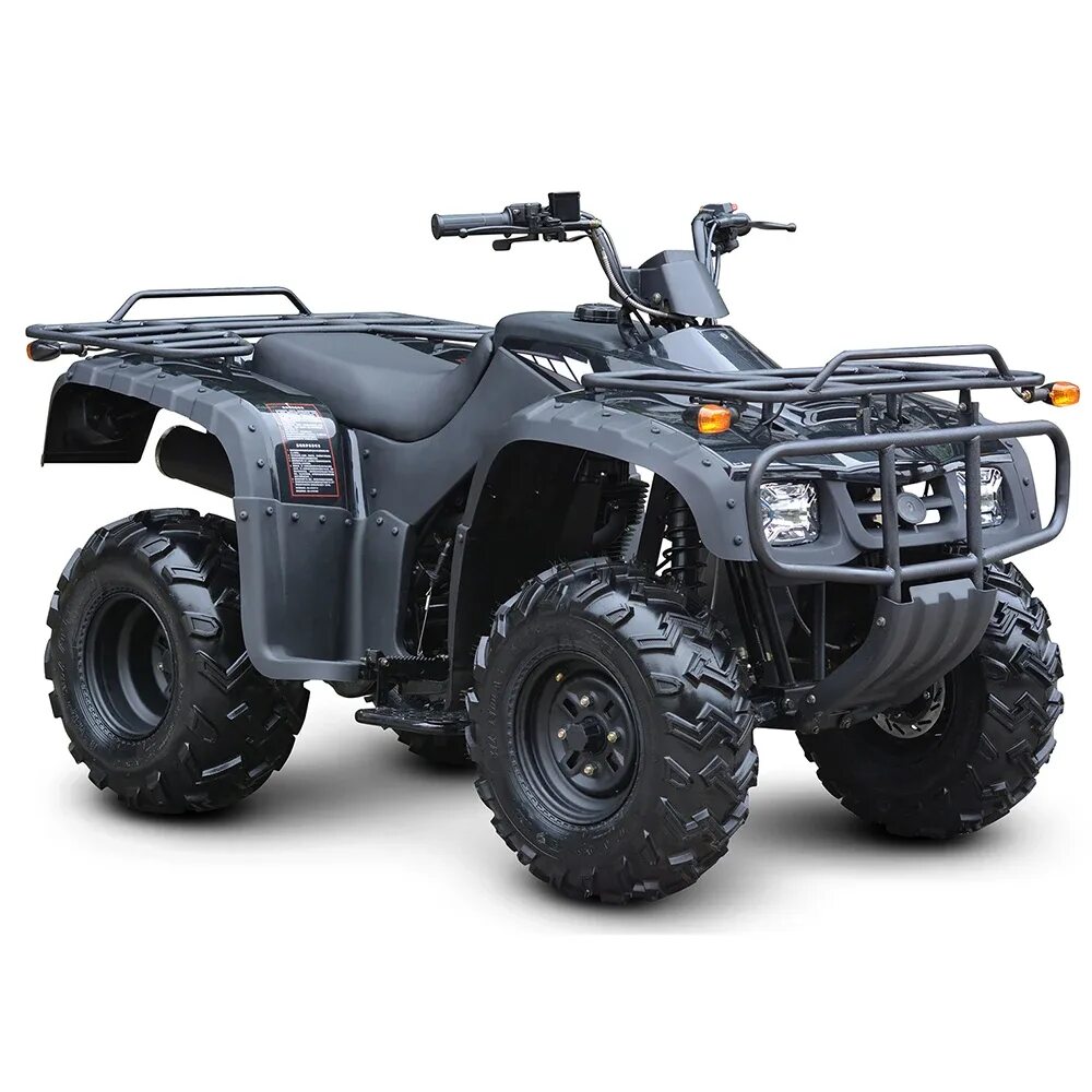 Квадроцикл 250 кубов атв. Китайские квадроциклы 250 кубов. Квадроцикл yamaha grizzly 250 куб. Irbis atv250s. Tao motor квадроцикл 200.