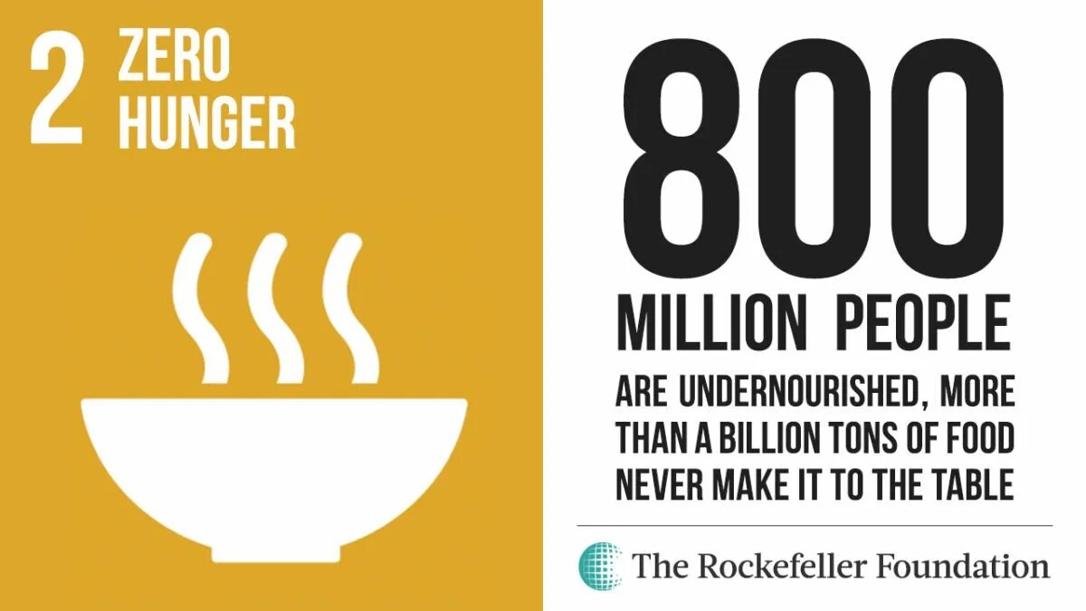 Голод число. Sdg zero hunger. sdg 2. goal 2: zero hunger. цель 2: ликвидация голода цур.