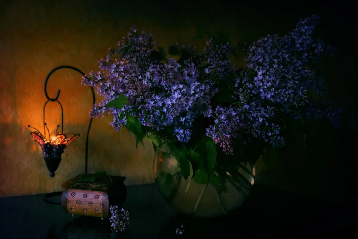 Необычная картинка вечер. Цветы вечер. Ночной сад цветы. Цветы ночью. Ночная сирень.