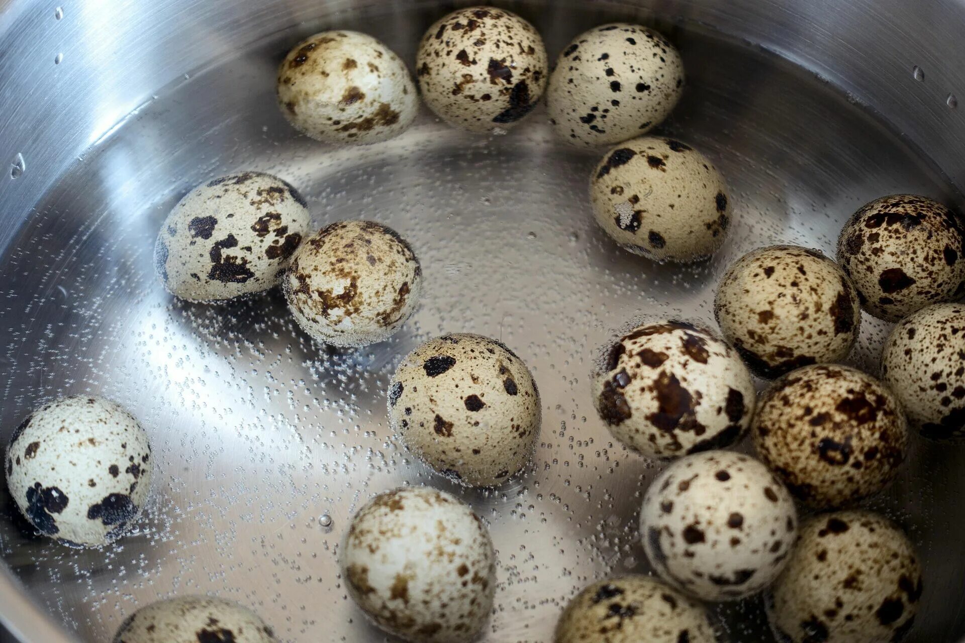 Сколько надо варить перепелиные. Перепелиные яйца на Пасху. Яйцо перепелиное. Перепелиные яйца Белореченское. Перепелиные яйца и сальмонеллез.