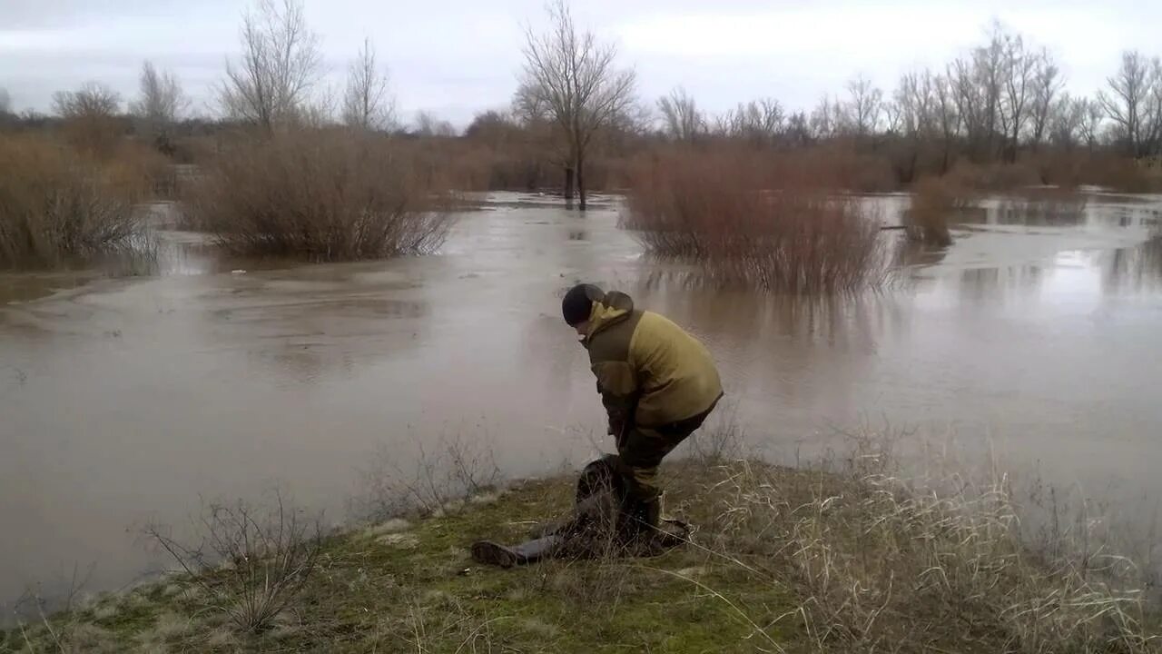 Прочитайте после реки разлива. Рыбалка на реке Чир Ростовской области. Разлив реки Ока в городе Орел. Разлив реки ИК В Боково Викуловский район 2017. Разлив реки Сердоба в этом году.
