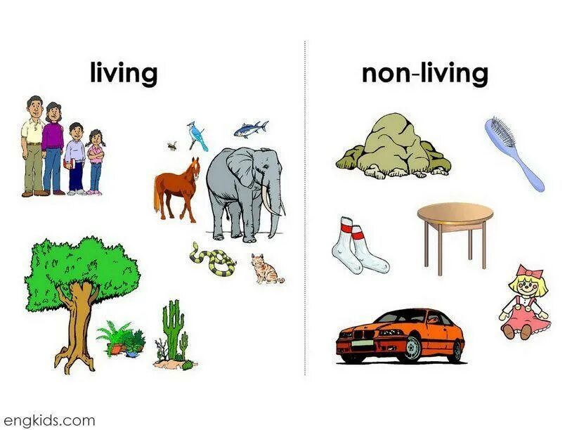 Living things and non Living things. Living and non Living things Worksheet. Living non Living things for Kids. Living and non-Living things for Kids Worksheets.