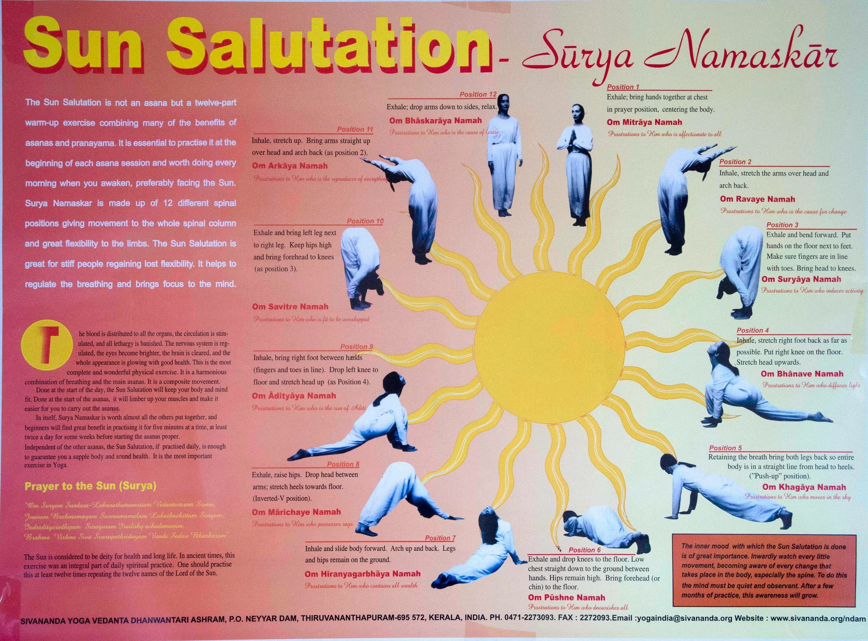 Сурья Намаскар Шивананда йога. Комплекс Сурья Намаскар Приветствие солнцу. Сурья Намаскар комплекс упражнений. Комплекс упражнений йога Сурья Намаскар. Приветствуя солнце