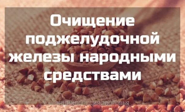 Как быстро почистить поджелудочную железу. Очищение поджелудочной железы народными средствами. очищение поджелудочной. как очистить поджелудочную железу. как почистить поджелудочную железу быстро и эффективно.