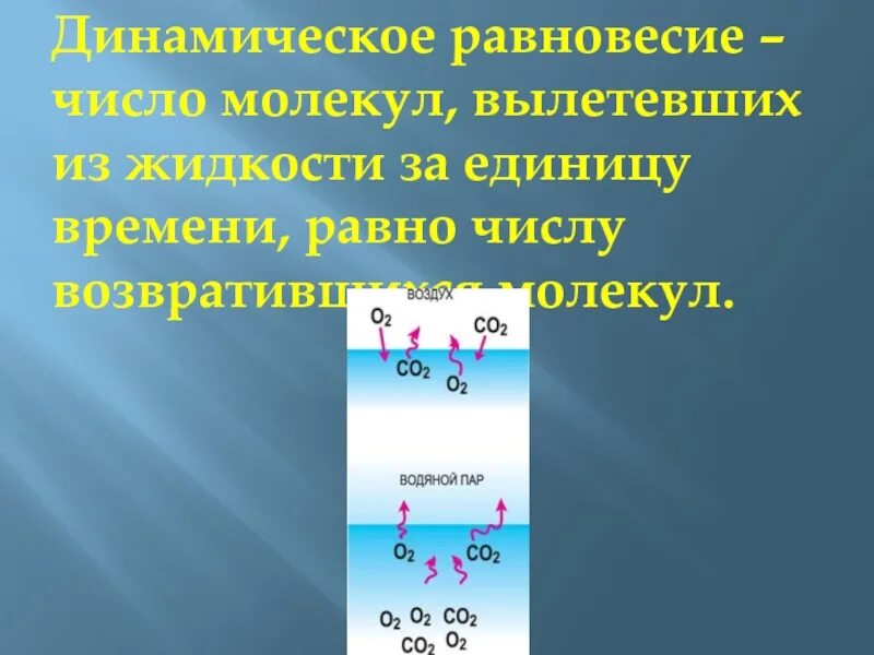 Динамическое равновесие со своей жидкостью. Динамическое равновесие. Динамическон равновесия. Динамическое равновесие жидкости. Динамическое равновесие это в физике.