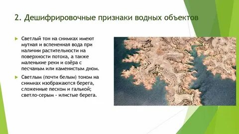 Признаки леса