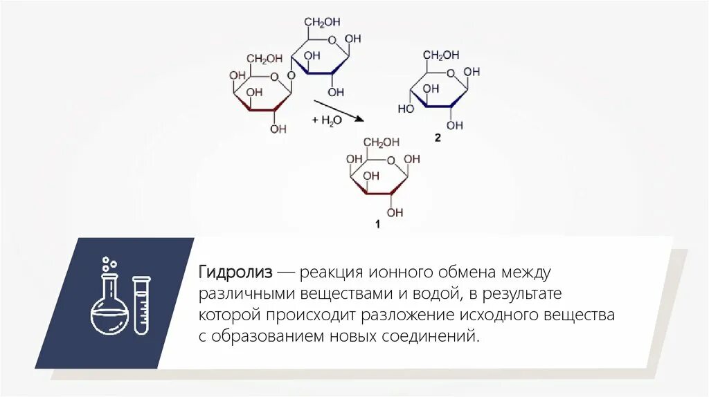 Растение гидролиз. Гидролиз. Реакция гидролиза. Гидролиз коллагена реакция. Гидролиз казеина.