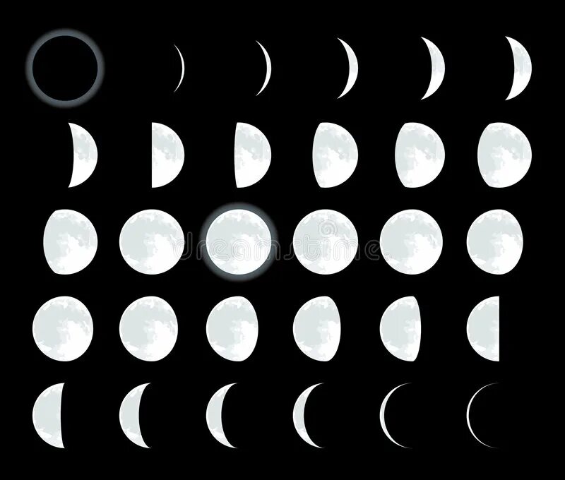 Набор для установки люверсов, хольнитенов, кнопок. Ген локус аллель. Китайский чай в пакетиках. Изумрудный чай пуэр natural. Слова я тебя люблю на всех языках.