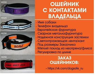 Поможет ли ошейник