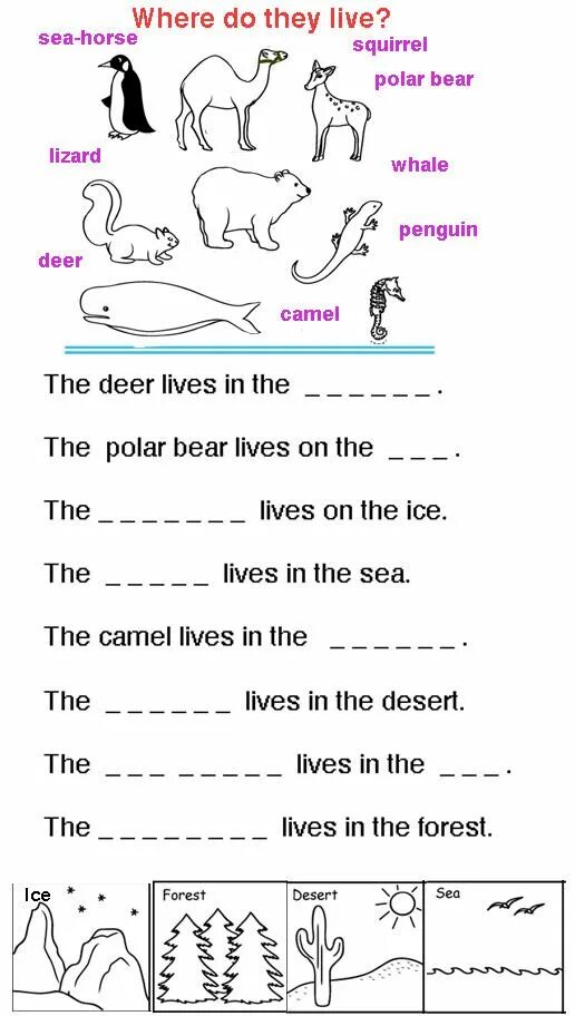 Animals Worksheets. Animal Habitats Worksheets. Animals Habitats Worksheets for Kids Worksheets. Animal Habitat for Kids. Liveworksheets com l