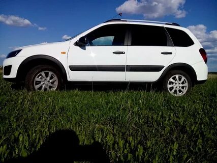 Калина кросс белый