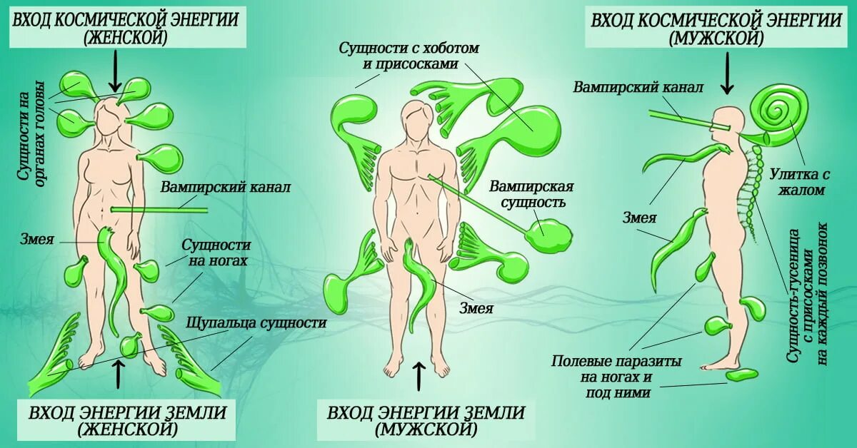 Разнообразие точек зрения
