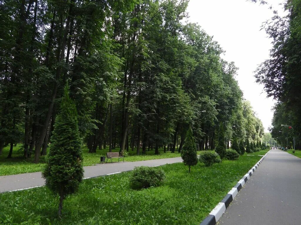 детский парк новомосковск. парки новомосковска тульской. город новомосковск тульской области взрослый парк. парк новомосковска пруды. новомосковск олимп лавочки парк.