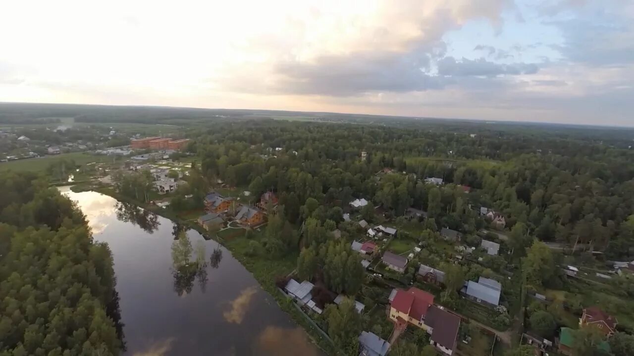 Погода в зеленоградском пушкинского района. Посёлок Зеленоградский Пушкинский район. Дачный поселок Зеленоградский Пушкинский район. Поселок Зеленоградский Пушкинского района Московской области. Зеленоградский (дачный посёлок).