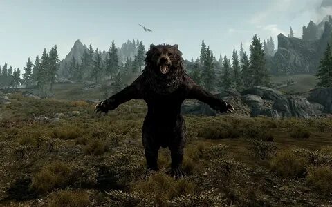 Animation fix skyrim