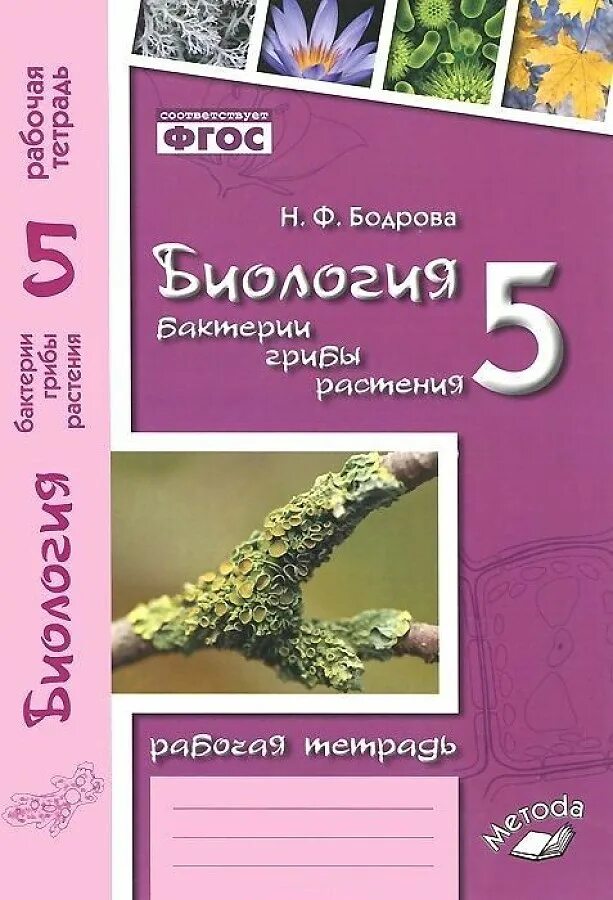 Биология 8 бодрова. Биология 5 класс бактерии грибы растения. биология 5 класс. рабочая тетрадь. фгос. растение гриб бактерия биология. биология 5 класс рабочая тетрадь бодрова.