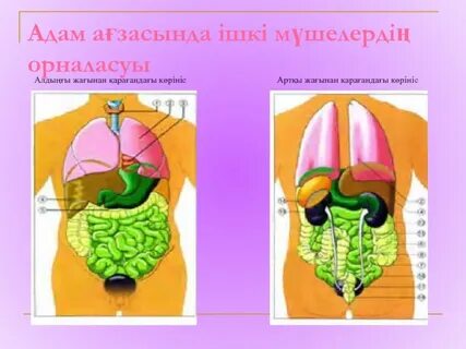 Порнодағы Олеся Кожевникова