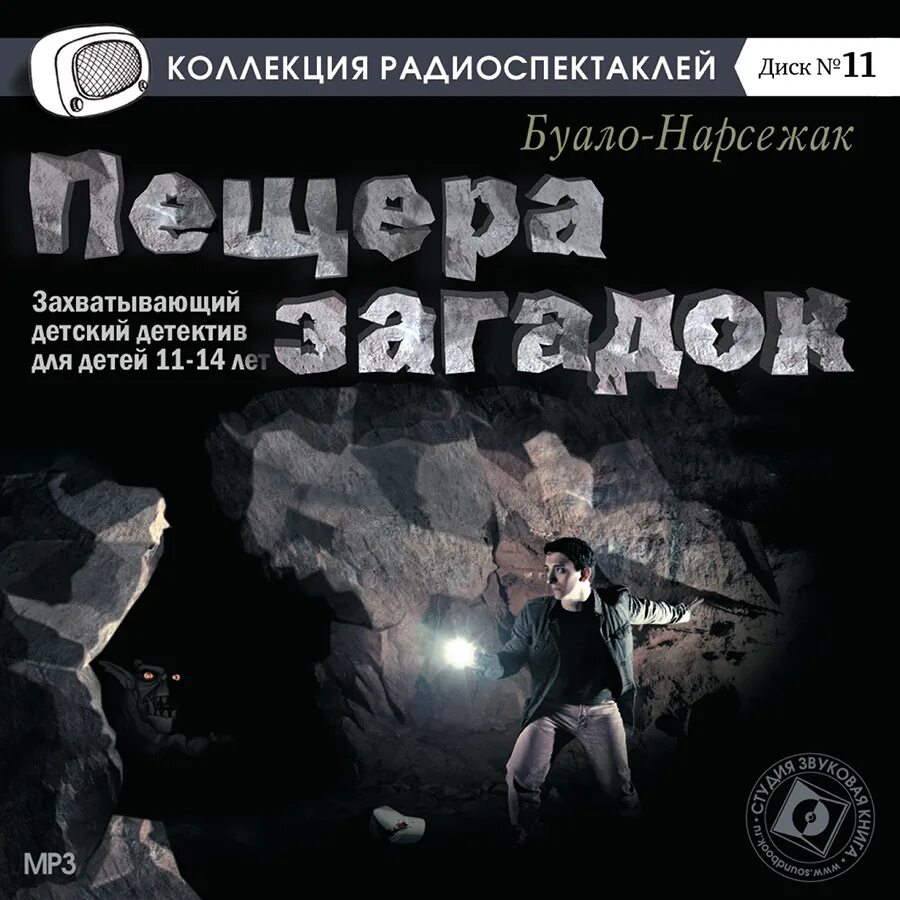 Аудиокнига загадка замка. Загадка про пещеру. аудиокнига пещера. пещера загадок книга. головоломка аудиокнига.
