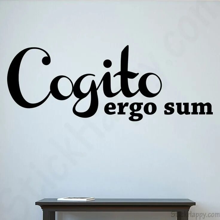 Эрго сум. Cogito Ergo sum картинки. Cogito Ergo sum ответ. Cogito Ergo sum фэндом.