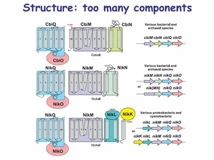 Most components