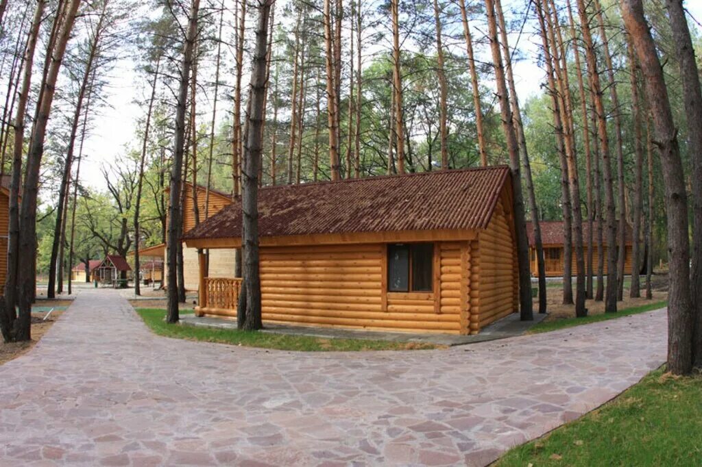 Турбазы шигонский. Муранский бор турбаза шигонский район. турбаза сосновый бор муранка. турбаза медик самарская область. база отдыха медик шигонский район.